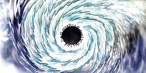 (Express Illustration: Amit Bandre)