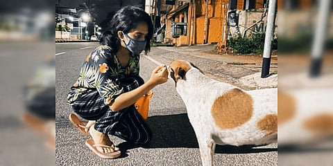 Animal welfare activist Parvathy Mohan feeds a dog. (Photo| EPS)