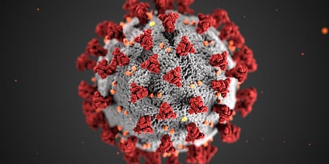 Coronavirus (Photo | AP)