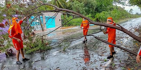 NDRF personnel clear a fallen tree from a road as they carry out restoration works following the landfall process of Cyclone Tauktae, in Valsad, Gujarat. (Photo | PTI)