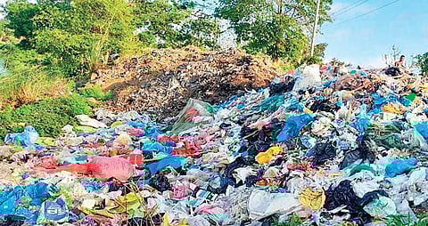 Bio-medical waste dumped on Mahanadi river bed | Express