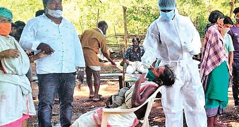 Swab samples being collected from Dongria tribals at Parsali village on Tuesday | Express