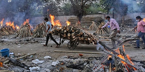 A worker carries wood on a hand cart as multiple funeral pyres of COVID-19 victims burn at a crematorium on the outskirts of New Delhi. (Photo| AP)