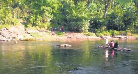 Thinking on their feet: How this Kerala tribal village kept pandemic away