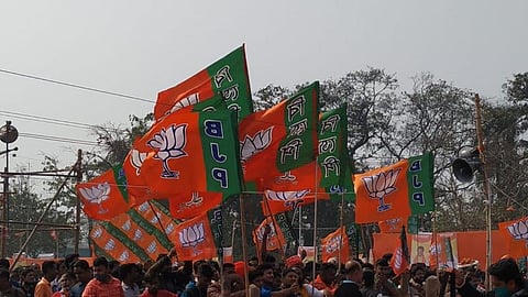 BJP Flags