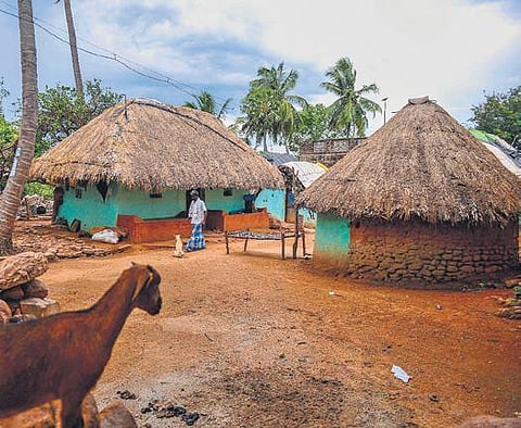 Nariankonai hamlet in Thiruvallur district | DEBADATTA MALLICK