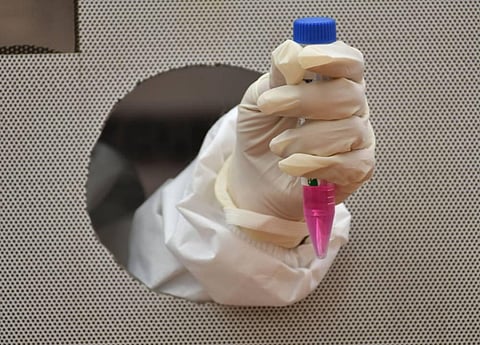 Image used for representational purposes (Photo | Prasant Madugula, EPS)