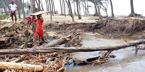 People try to cross through uprooted trees due to the impact of cyclone Yaas near the Digha sea beach, in East Medinipur on Thursday. (Photo | ANI)