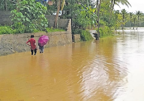 Torrential rain since Tuesday submerged a paddy field at Kovoor in Thiruvananthapuram | B P DEEPU