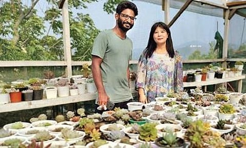 A succulent adventure