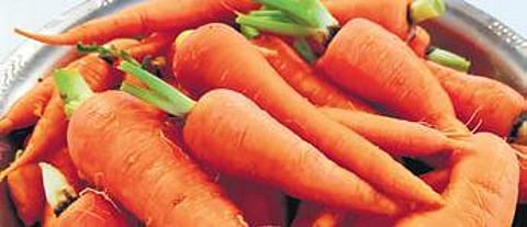 Image of carrots used for representational purposes