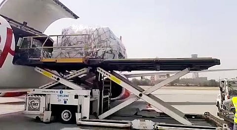 piceJet airlifts 700 oxygen concentrators from Guangzhou in China. (Photo | ANI)