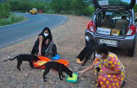 G Anu feeding stray dogs in Visakhapatnam along with her niece on Saturday. (Photo | G Satyanarayana, EPS)