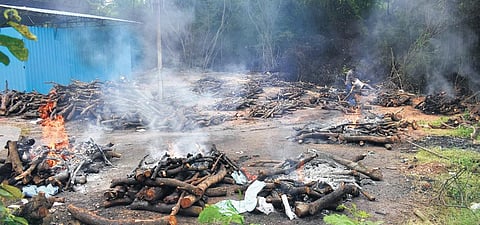 Pyres of Covid and suspected Covid victims burn endlessly at the ESI cremation ground, where around 30 to 40 bodies are being cremated on a daily basis. ( File Photo | S Senbagapandiyan, EPS)