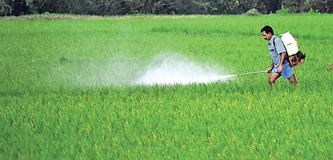 For representational purposes