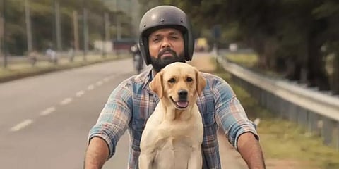 A still from Rakshit Shetty-starrer '777 Charlie'.