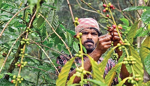 Aroma of coffee missing in high ranges