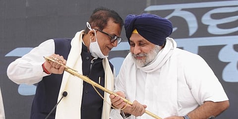 SAD President Sukhbir Singh Badal felicitates BSP Secretary General Satish Chandra Mishra during a press conference at SAD head office in Chandigarh, Saturday, June 12, 2021. (Photo | PTI)