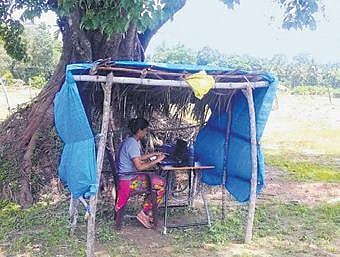 Sindhu N at work on her laptop in the hut, in Varamballi | EXPRESS