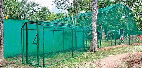 The walk-in aviary created at Cauvery Nisargadhama, Kodagu district | EXPRESS