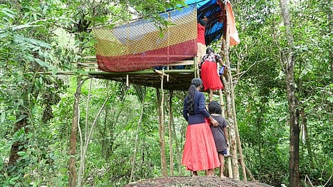 The parents tag along as the group treads the forest fearing for their lives, with the threat of wild animals looming large. (Photo | Express)