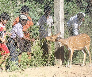 File picture of children enjoying themselves at the Amirthi Zoological Park