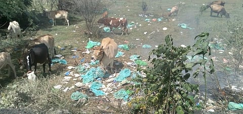 Biomedical waste dumped in the open in Thalambur (Photo | Special arrangement)