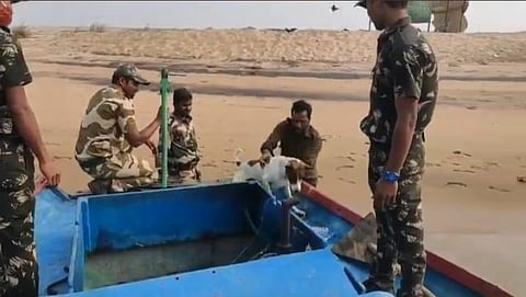 The dog being rescued from a small island formed near river mouth of the Rushikulya at Purunabandh village on Wednesday (Photo | EPS)