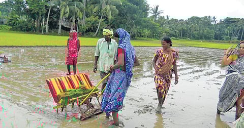 Rukmini Nayak guiding other women on farming methods. (Photo | Express)