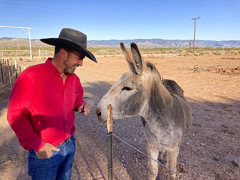 Otero County Commissioner Couy Griffin, the founder of Cowboys for Trump, cares for a donkey named Henry outside his home in Tularosa. (Photo | AP)