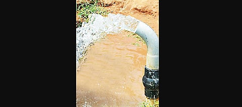 The allocation has been made as a part of component C of the PM KUSUM scheme, which envisages solarisation of 10 lakh grid-connected agriculture pumps across the state.