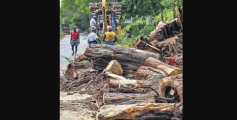 Environment issues often became talking point in recent times | Express