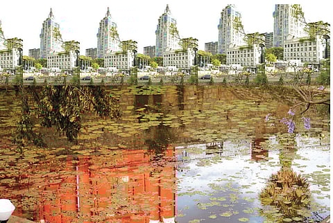 Photomontages by Shanthamani M, 2006-2008, Bengaluru, India