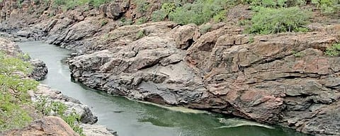 Tamil Nadu Vivasayigal Sangam strongly condemned Karnataka CM Siddaramaiah for criticising Tamil Nadu for failing to cooperate with Karnataka on building a dam at Mekedatu.