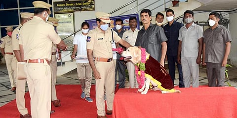 Mahbubnagar SP R Venkateswarlu felicitates Munna, a police dog, which retired from service on Thursday. (Photo| EPS)