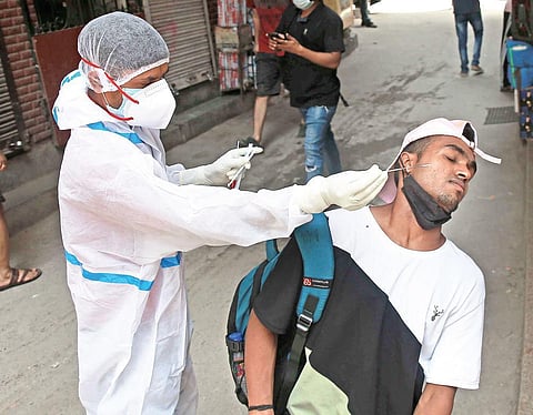 A medical worker collects swab sample for Covid testing. (Photo | Shekhar Yadav, EPS)
