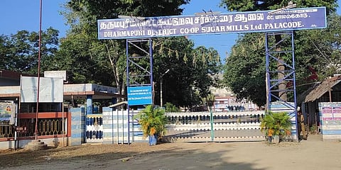 Lack of water puts cane farming in shambles