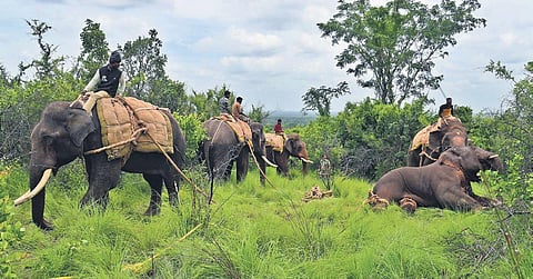 It was earlier captured from Sakleshpur | Shriram BN