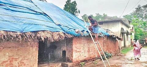 A villager covering his roof with polythene sheet after rains. (Photo | Express)