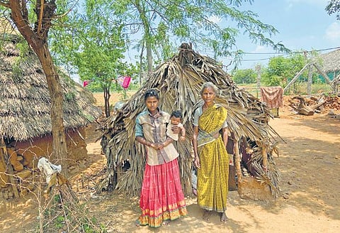 An Irular family at Venkatapuram hamlet in Tiruvallur district