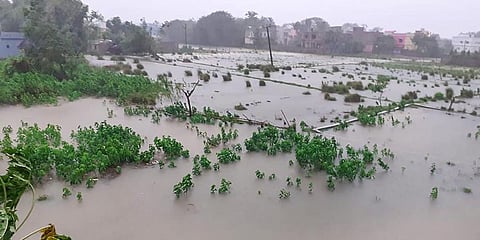 Sea water inundates agricultural fields during cyclone Yaas landfall in Chandipur area of Balasore. (File Photo | PTI)
