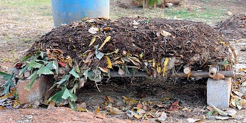 Organic Manure (Photo | EPS)