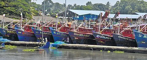 Fishing vessels docked at Thoppumpady harbour. They will return to sea only after the trawling ban is lifted | Albin Mathew