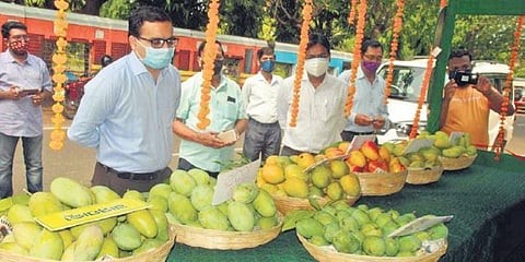 Collector Vineet Bhardwaj inaugurating Baripada ‘Gaon Ambapasara’ outlet on May 24. (Photo | EPS)