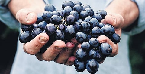 Dishing out good health