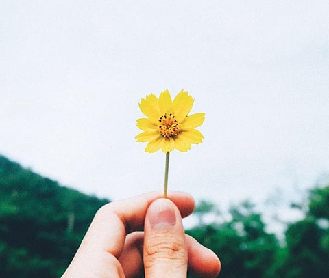 For representational purposes