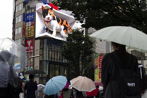 People walk by a 3D video advertisement display of a giant cat that was recently installed in the famed Shinjuku shopping district in Tokyo. (Photo | AP)
