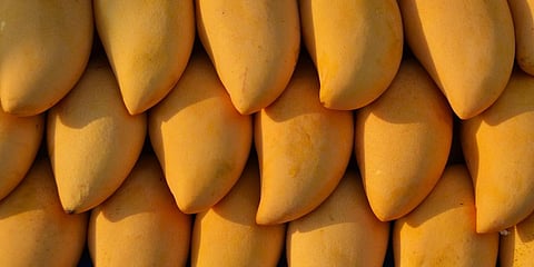 For representational purpose. (File photo)