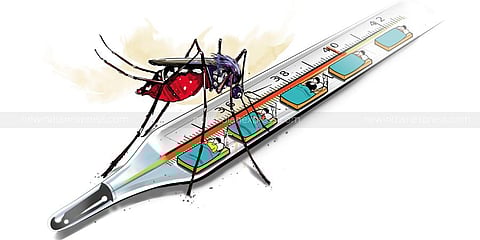 Image for representational purpose only. ( Express Illustration)