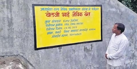 Guiding the revolution is 41-year-old famous political science postgraduate organic farming trainer Tarachand Belji.